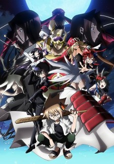 SHAMAN KING: FLOWERS poster